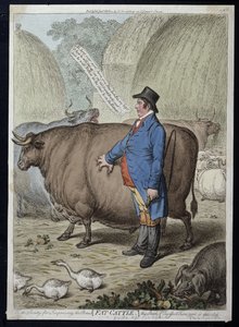 Fat Cattle, publicerad av Hannah Humphrey 1802 (handfärgad etsning)