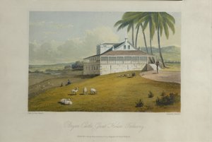 Bryan Castle, illustration från "A Picturesque Tour in the Island of Jamaica"