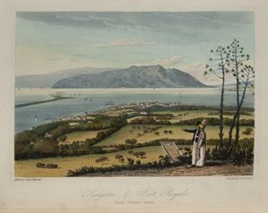 Kingston och Port Royale av James Hakewill