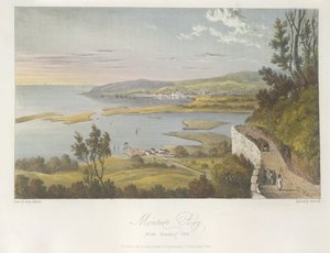 Utsikt över Montego Bay från Reading Hill, illustration från "En pittoresk rundtur på ön Jamaica", London