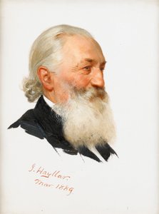 Studie av en skäggig gentleman, 1889