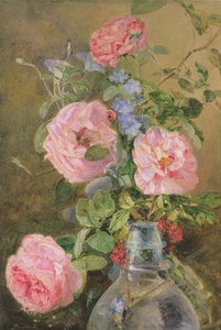 Rosor, Convolvulus och Delphiniums