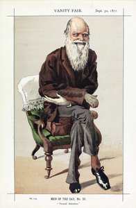 Charles Darwin, Dagens män, nr 33, Naturligt urval, från Vanity Fair, pub. 1871 av James Jacques Joseph Tissot