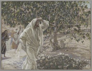 Det förbannade fikonträdet, illustration från Vår Herre Jesu Kristi liv, 1886-94 (wc över grafit på papper) av James Jacques Joseph Tissot