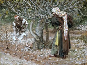 The Barren Fig Tree, illustration till The Life of Christ, c.1886-94 (wc & gouache på kartong) av James Jacques Joseph Tissot