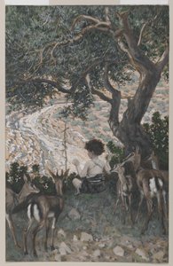 Johannes Döparens barndom, illustration från Vår Herre Jesu Kristi liv (wc över grafit på papper) av James Jacques Joseph Tissot