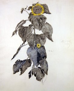 Solrosor (kol & akvarell på papper)