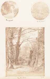 Tillvägagångssättet, i skogen, vid sjön, 1853-56.