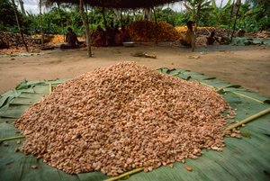 En stor hög med kakaobönor (släkte: Theobroma, art: cacao), som redan har lagts till i... av James L Stanfield