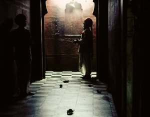 Heliga råttor bor i Karni Mata-templet till den hinduiska gudinnan Bhagwati Karniji i Deshnoke, Rajasthan, Indien