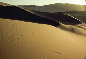 Vy över skarpt skurna och skuggade sanddyner nära Dunhuang. Gansu-provinsen, Folkrepubliken Kina. av James L Stanfield