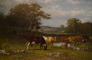 Från Shifting Shade, 1887.