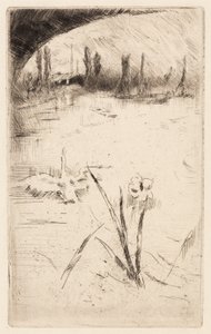 Skiss efter Cecil Lawsons "Swan and Iris"