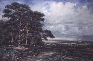 Bradgate Park nära Leicester, akvarell