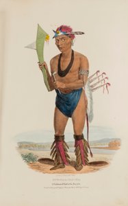 CUT-TAA-TAS-TIA; En hyllad hövding av Fox-stammen, från The Aboriginal Portfolio av James Otto Lewis