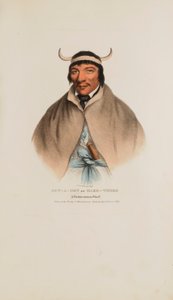 SUN-A-GET eller hårda tider; en Pottawatomie-hövding, från The Aboriginal Portfolio av James Otto Lewis