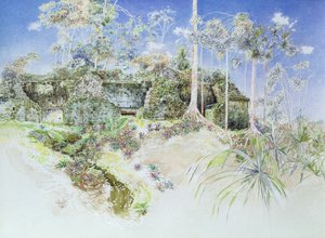 Ruined Temple, Tikal, Guatemala, 1984 (wc on paper) av James Reeve