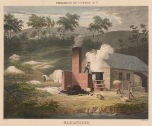 Bomulls framsteg, #7: Blekning av James Richard Barfoot