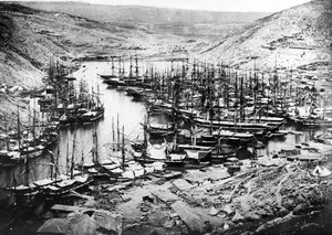Balaklavas hamn under Krimkriget, c.1855