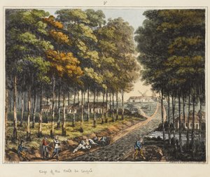 Edge of the Foret de Soignes, från "An Historical Account of the Battle of Waterloo", 1817 (färgad akvatint)
