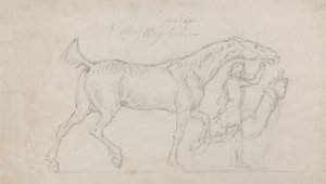 Man som leder en travhingst till höger (grafit och svart krita på papper) av James Seymour