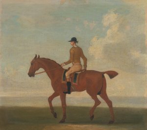Ett av fyra porträtt av hästar - en kastanjebrun kapplöpningshäst med Jockey Up: gå till vänster; jockey i buff-gul jacka