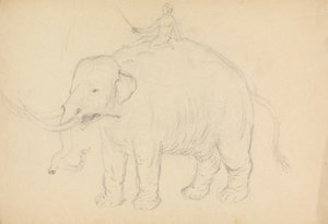 Elefant med ryttare av James Sowerby