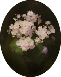 Primulas, 1900-talet (olja på duk) av James Stuart Park