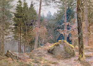 I en walesisk skog, vinter