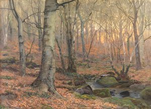 Russet and Grey: a Welsh Beechwood (w/c)