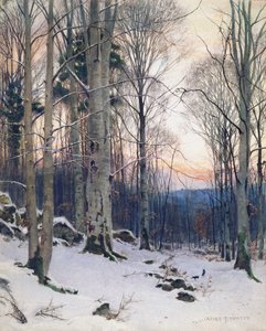 Twilight, Beech Woods (wc)