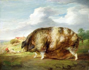 A Gloucestershire Old Spot (olja på panel) av James Ward