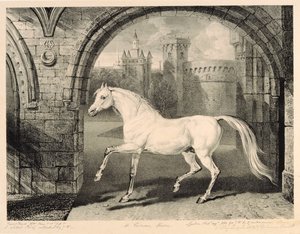 A Persian Horse, från "Celebrated Horses", en uppsättning av fjorton racingtryck publicerade av konstnären, 1823-24