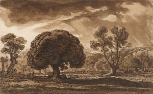 En annalkande storm av James Ward