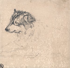 Polarhund, vänd mot vänster av James Ward