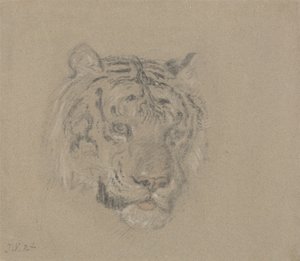 Huvudet av en tiger av James Ward
