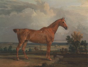 Jägare i ett landskap av James Ward