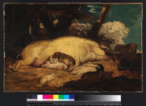 Svin, inte före 1793 av James Ward