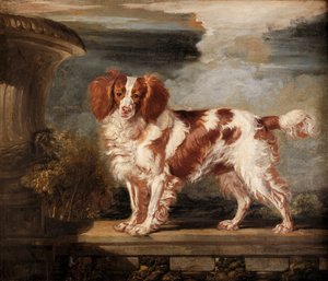 Porträtt av Dash, en favorit Spaniel, egendom av Lady Frances Vane-Tempest av James Ward