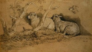 Får som vilar i en skogbevuxen skog och en studie av huvudet på ett får (svartvit krita på grått papper) av James Ward