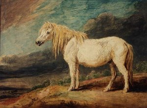 Shetlandsponny av James Ward