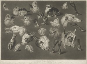 Studier från naturen, 1807 av James Ward