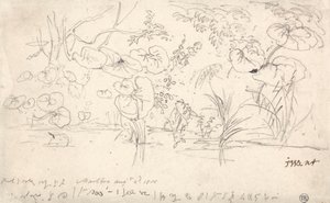 Studies of Plants, 2 augusti 1815 av James Ward