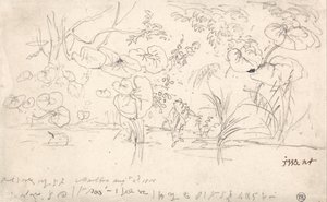 Studier av växter, 2 augusti 1815 av James Ward