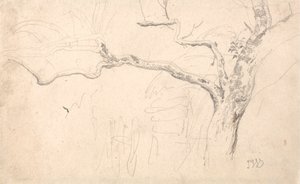 Trädstudie av James Ward
