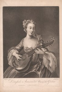 Domestick Amusement: Spela gitarr