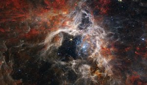 En kosmisk Tarantula