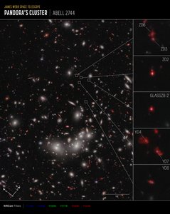 Galaxy Protocluster (NIRCam Compass Image) av James Webb Space Telescope (NASA)