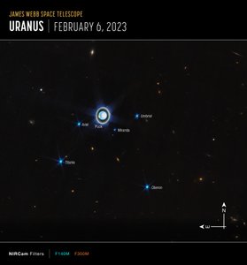 Uranus (NIRCam Compass Image) av James Webb Space Telescope (NASA)