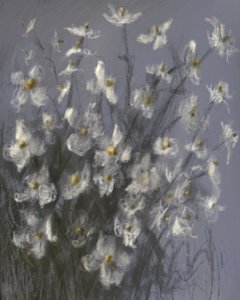 Drömlika vita blommor av James Zamora